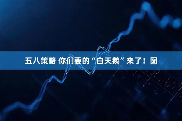 五八策略 你们要的“白天鹅”来了！图
