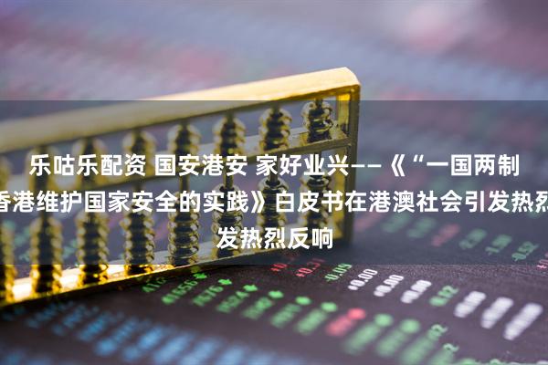 乐咕乐配资 国安港安 家好业兴——《“一国两制”下香港维护国家安全的实践》白皮书在港澳社会引发热烈反响