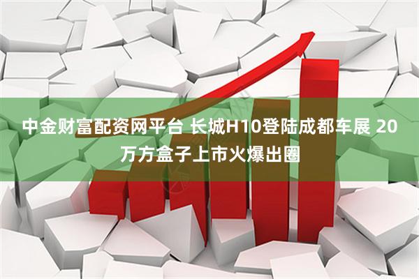 中金财富配资网平台 长城H10登陆成都车展 20万方盒子上市火爆出圈